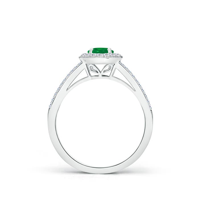 AA - Emerald / 0.75 CT / 14 KT White Gold