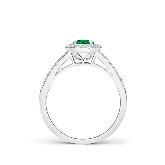 AAA - Emerald / 0.75 CT / 14 KT White Gold