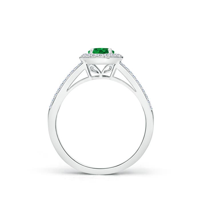 AAAA - Emerald / 0.75 CT / 14 KT White Gold