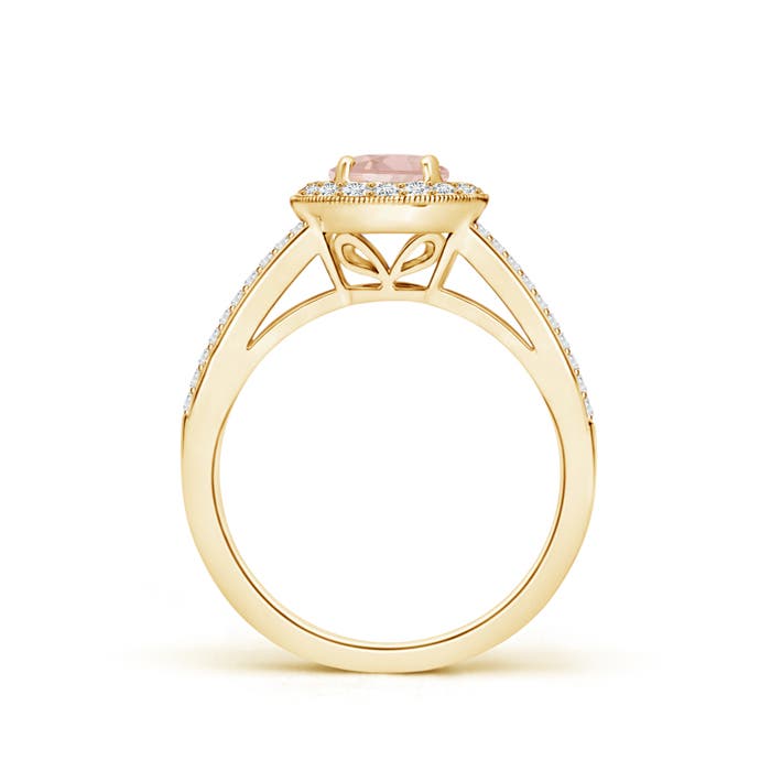 AAA - Morganite / 1.15 CT / 14 KT Yellow Gold