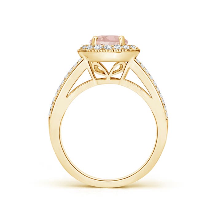 AAAA - Morganite / 1.69 CT / 14 KT Yellow Gold