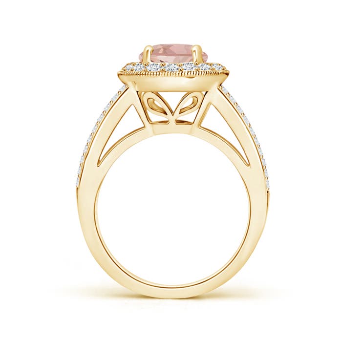 AAA - Morganite / 2.31 CT / 14 KT Yellow Gold