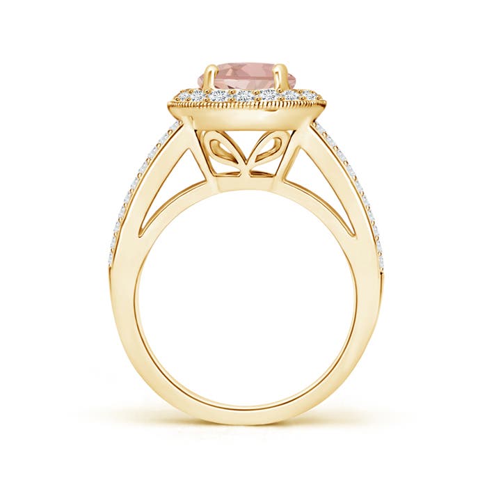 AAAA - Morganite / 2.31 CT / 14 KT Yellow Gold