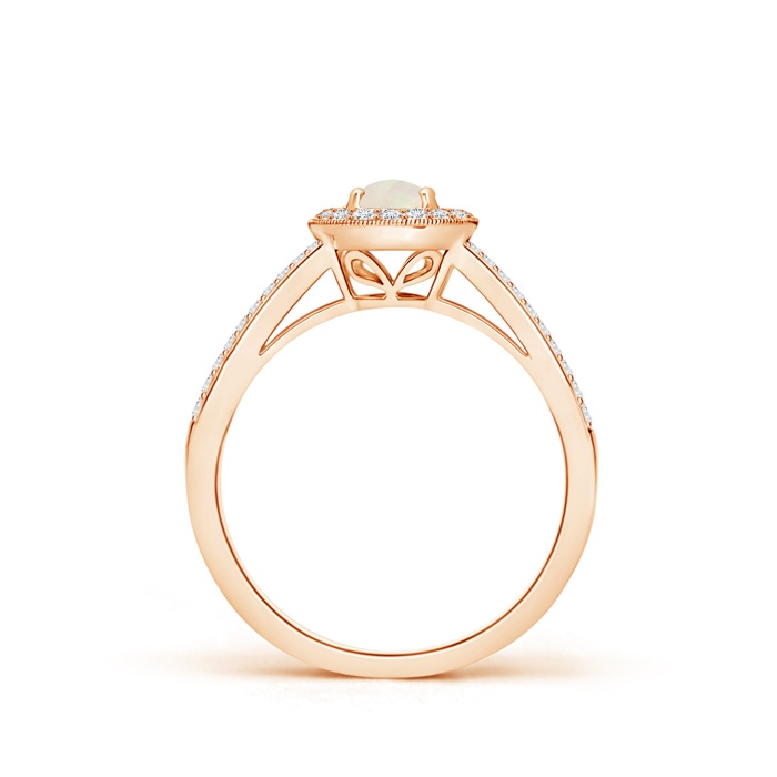 5mm A Round Opal Split Shank Ring with Diamond Halo in Rose Gold Side-1