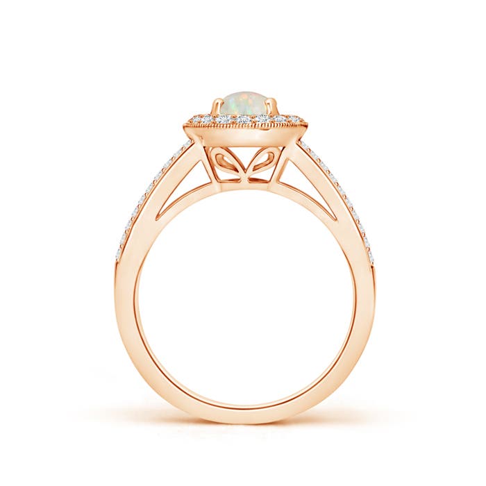 AAA - Opal / 0.95 CT / 14 KT Rose Gold