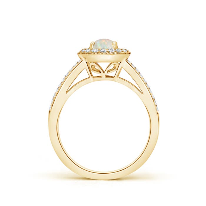 AAA - Opal / 0.95 CT / 14 KT Yellow Gold