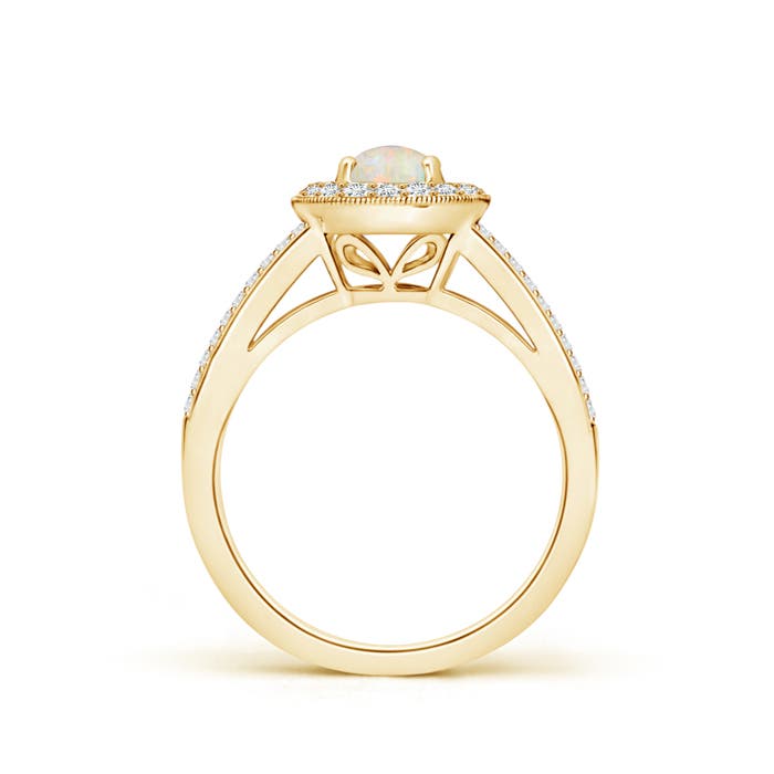 AAAA - Opal / 0.95 CT / 14 KT Yellow Gold