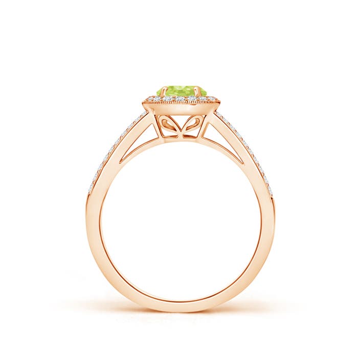 A - Peridot / 0.85 CT / 14 KT Rose Gold