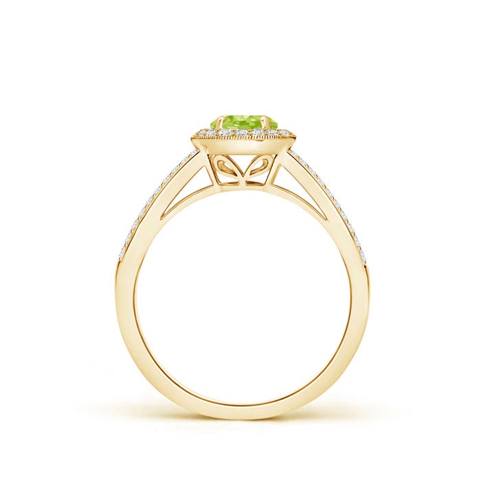 AA - Peridot / 0.85 CT / 14 KT Yellow Gold