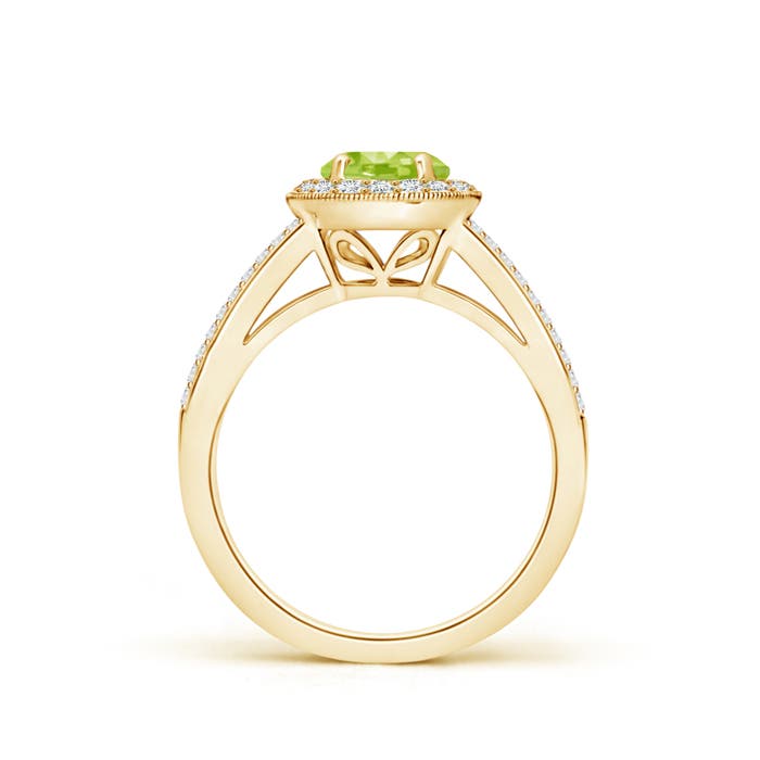 AA - Peridot / 1.4 CT / 14 KT Yellow Gold