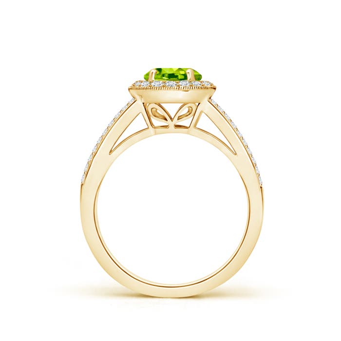 AAA - Peridot / 1.4 CT / 14 KT Yellow Gold