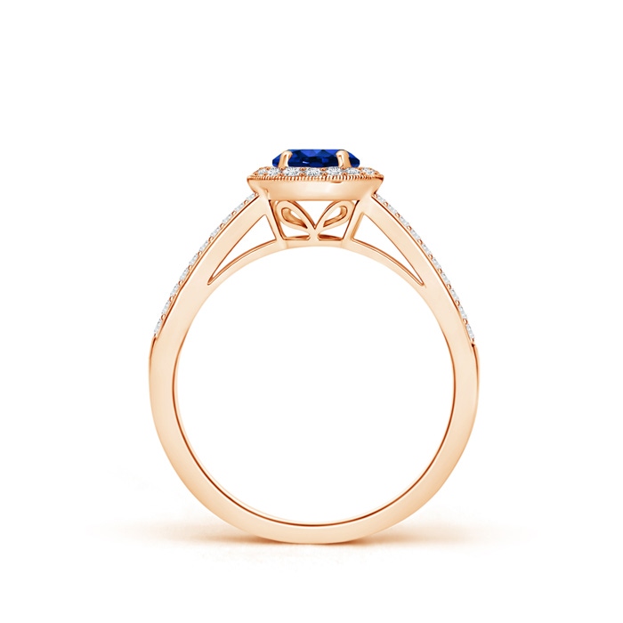 5mm AAAA Round Blue Sapphire Split Shank Ring with Diamond Halo in Rose Gold side-1