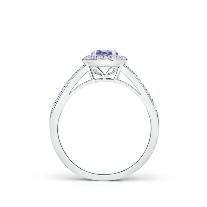 AA - Tanzanite / 0.8 CT / 14 KT White Gold