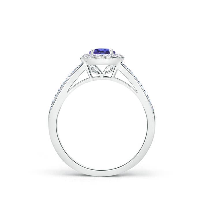 AAA - Tanzanite / 0.8 CT / 14 KT White Gold