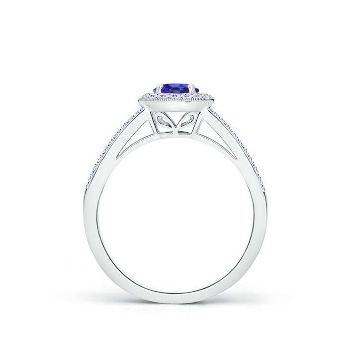 AAAA - Tanzanite / 0.8 CT / 14 KT White Gold