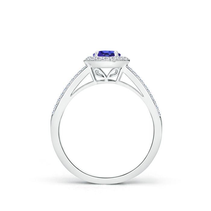5mm AAAA Round Tanzanite Split Shank Ring with Diamond Halo in White Gold Product Image