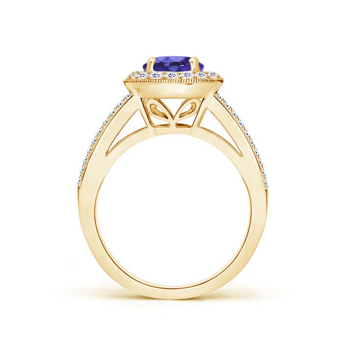 AA - Tanzanite / 2.04 CT / 14 KT Yellow Gold