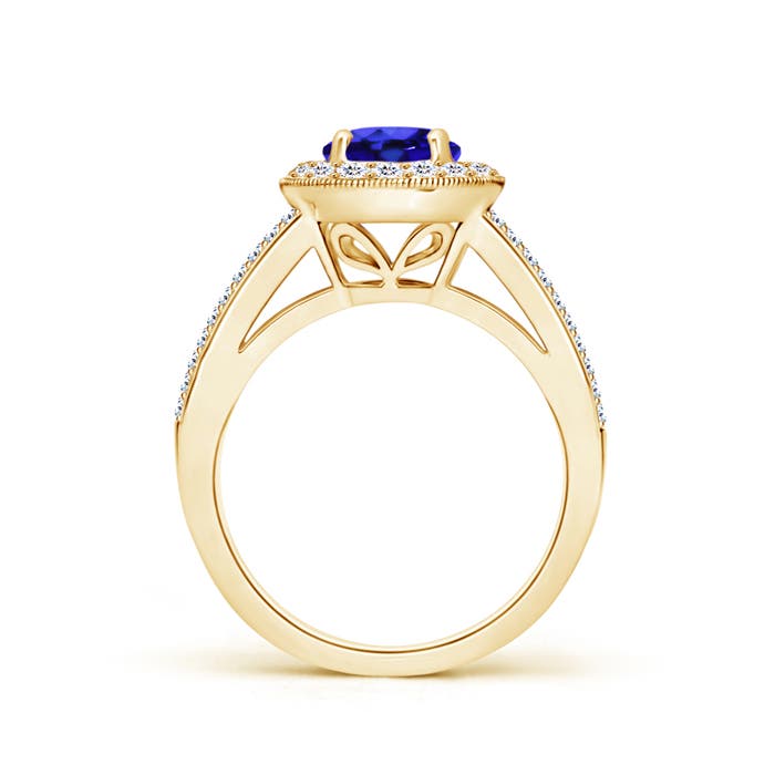 AAA - Tanzanite / 2.04 CT / 14 KT Yellow Gold