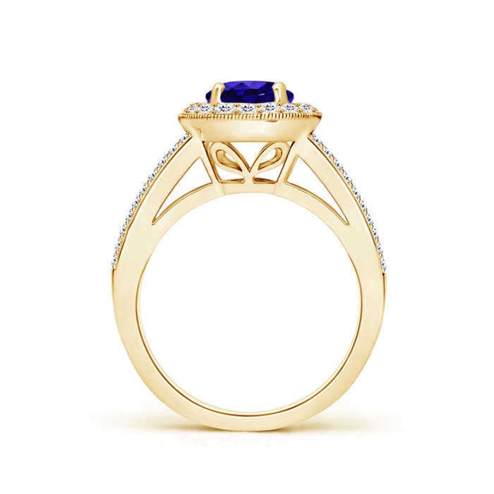 AAAA - Tanzanite / 2.04 CT / 14 KT Yellow Gold