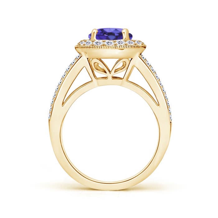 AA - Tanzanite / 2.46 CT / 14 KT Yellow Gold