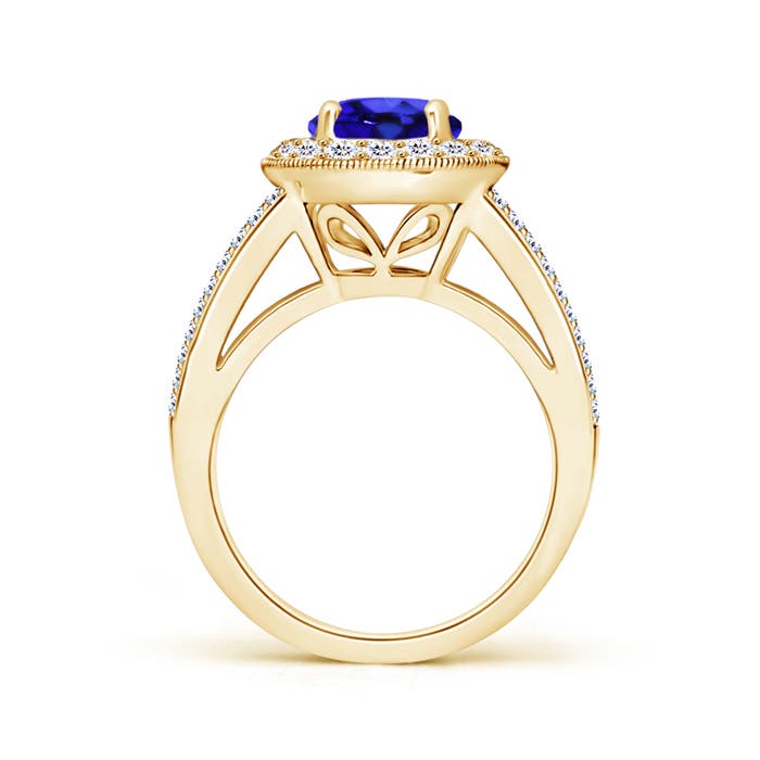 AAA - Tanzanite / 2.46 CT / 14 KT Yellow Gold