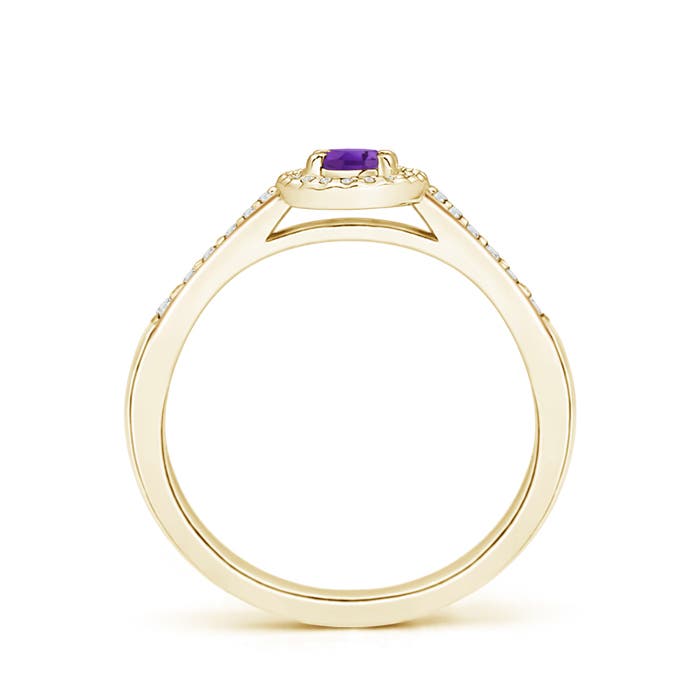 AAA - Amethyst / 0.36 CT / 14 KT Yellow Gold