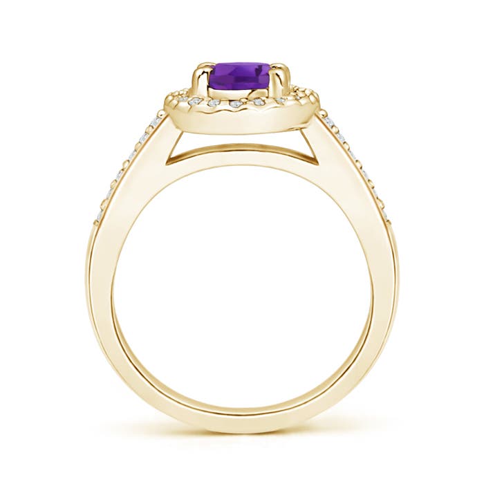 AAA - Amethyst / 0.96 CT / 14 KT Yellow Gold