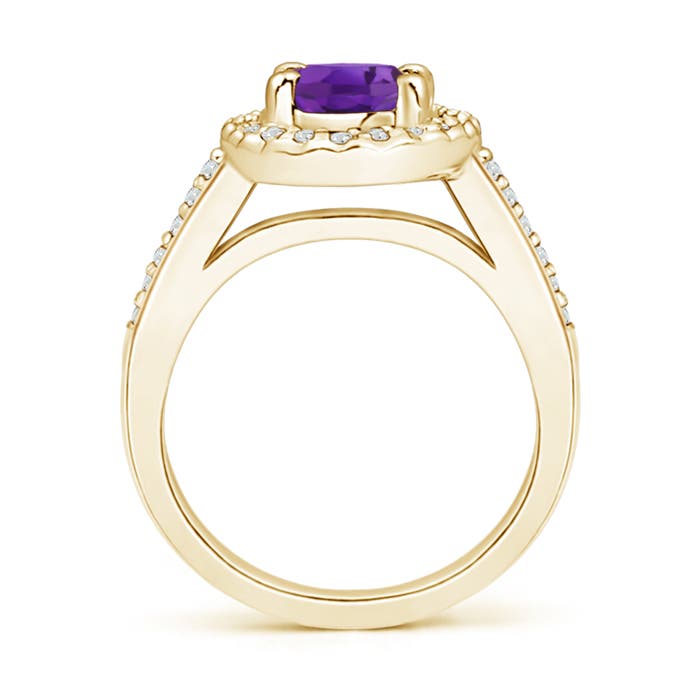 AAA - Amethyst / 1.47 CT / 14 KT Yellow Gold