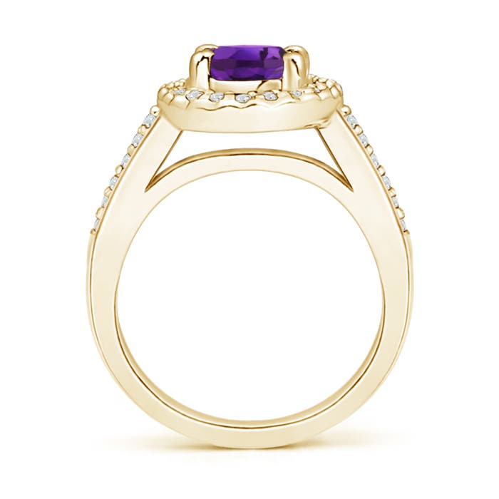 AAAA - Amethyst / 1.47 CT / 14 KT Yellow Gold