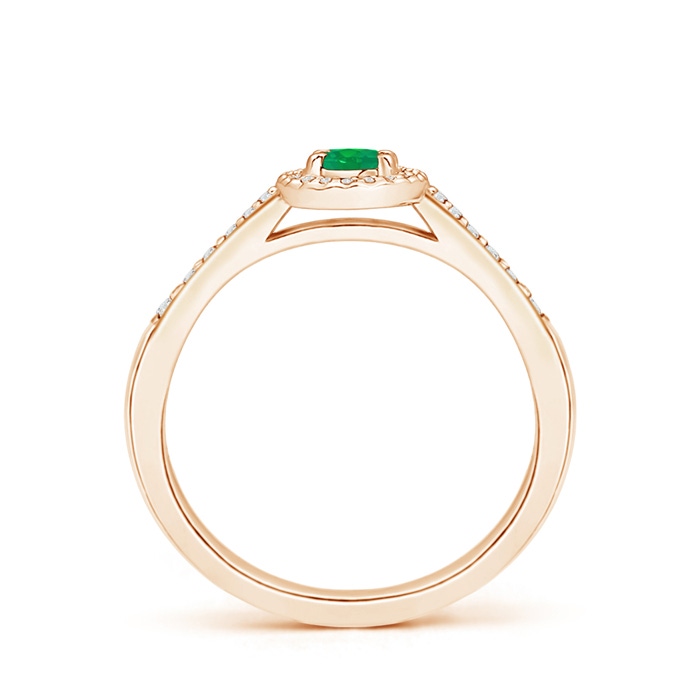 5x3mm AA Classic Oval Emerald Halo Ring with Diamond Accents in Rose Gold side-1