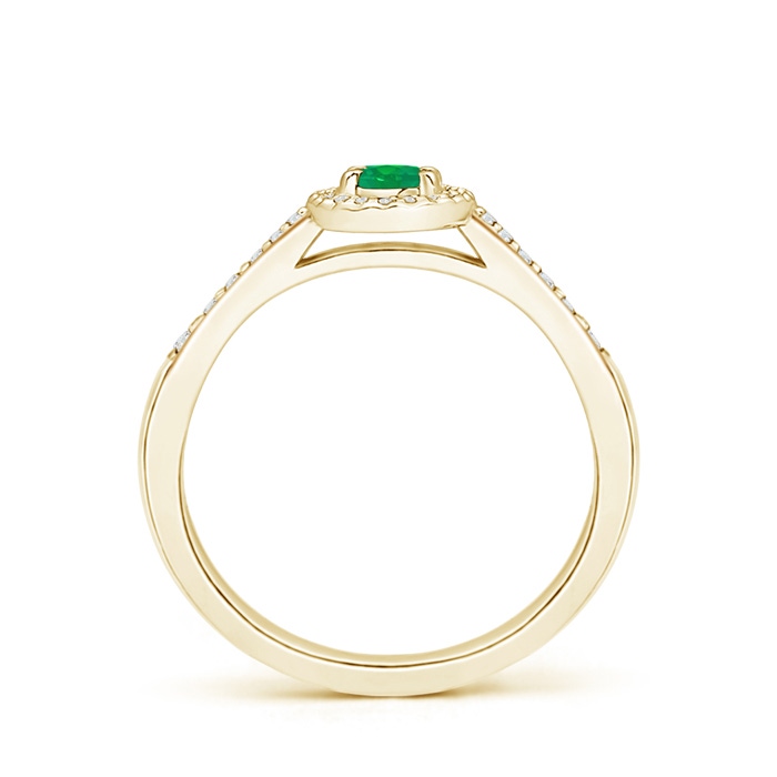 5x3mm AA Classic Oval Emerald Halo Ring with Diamond Accents in Yellow Gold side-1