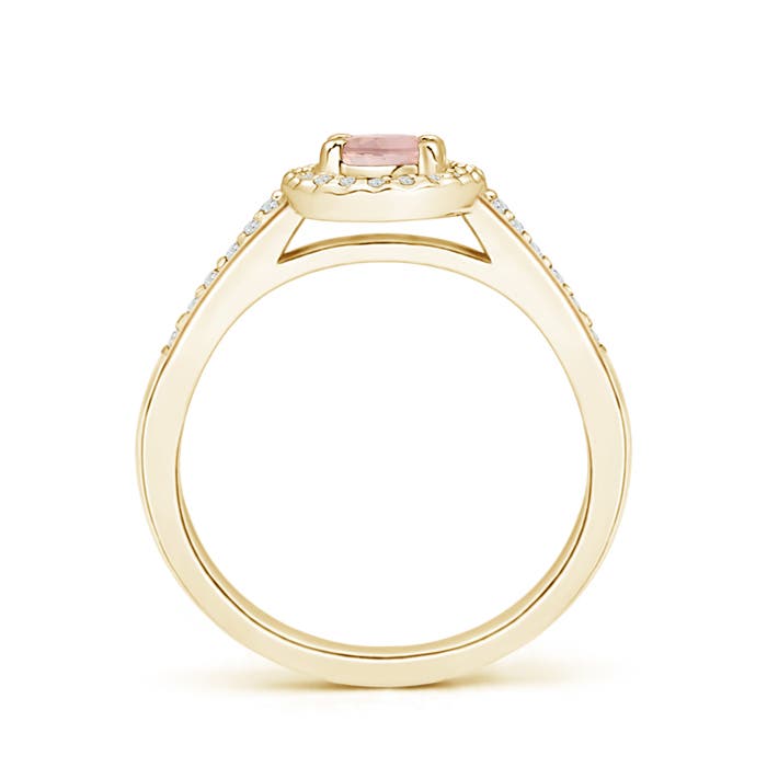 AAAA - Morganite / 0.96 CT / 14 KT Yellow Gold