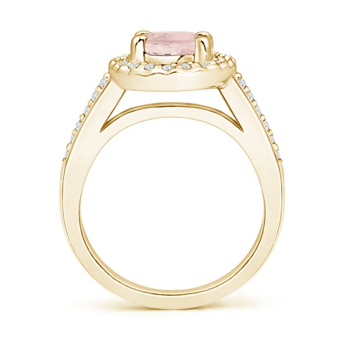 A - Morganite / 2.19 CT / 14 KT Yellow Gold