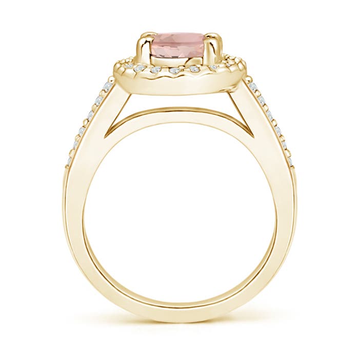 AAA - Morganite / 2.19 CT / 14 KT Yellow Gold