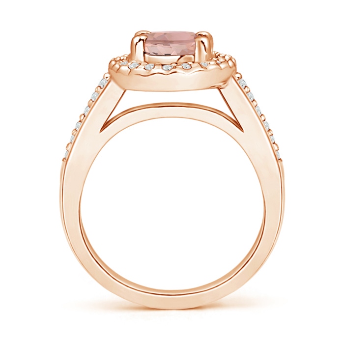 9x7mm AAAA Classic Oval Morganite Halo Ring with Diamond Accents in Rose Gold Side-1