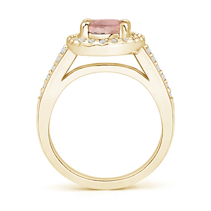 AAAA - Morganite / 2.19 CT / 14 KT Yellow Gold