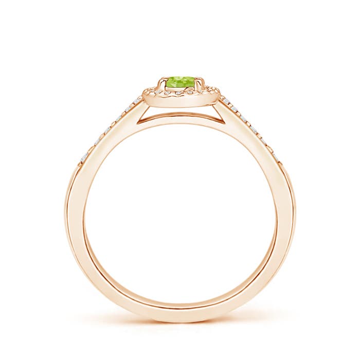 AA - Peridot / 0.36 CT / 14 KT Rose Gold