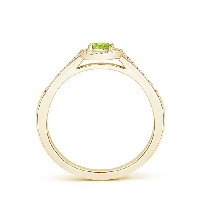 AA - Peridot / 0.36 CT / 14 KT Yellow Gold