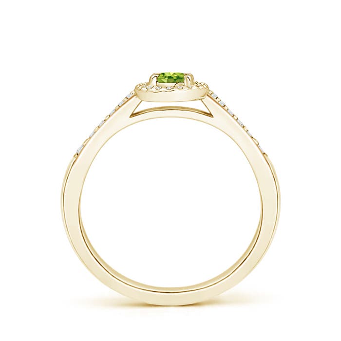 AAA - Peridot / 0.36 CT / 14 KT Yellow Gold