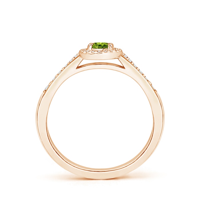 5x3mm AAAA Classic Oval Peridot Halo Ring with Diamond Accents in Rose Gold product image