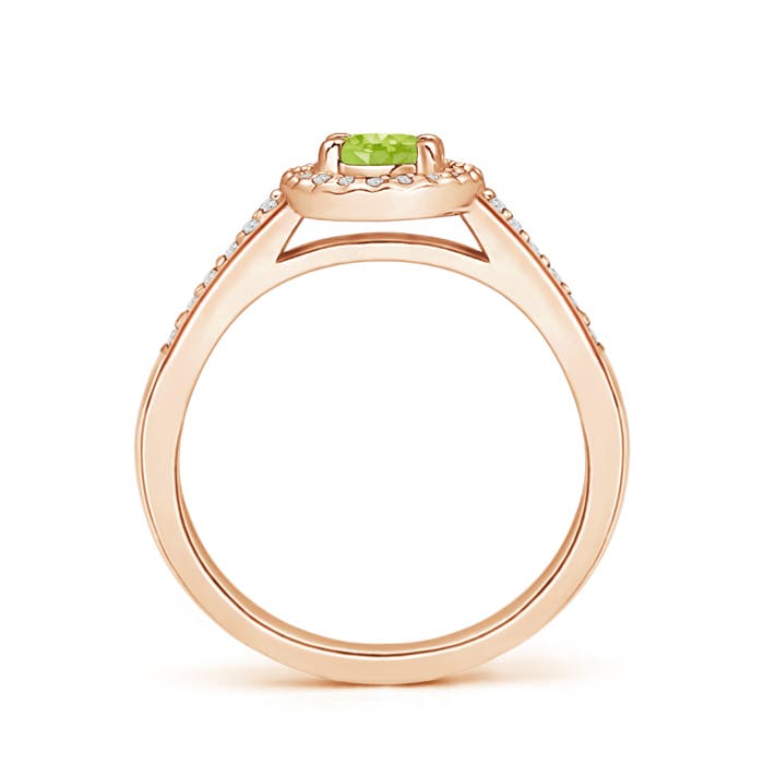 AA - Peridot / 0.69 CT / 14 KT Rose Gold