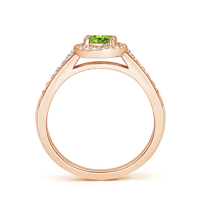 AAA - Peridot / 0.69 CT / 14 KT Rose Gold