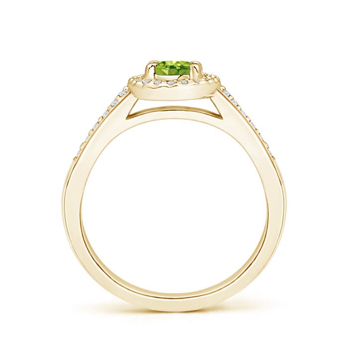 AAA - Peridot / 0.69 CT / 14 KT Yellow Gold