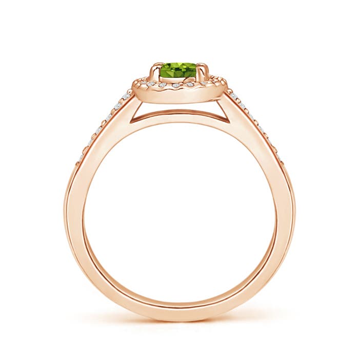 AAAA - Peridot / 0.69 CT / 14 KT Rose Gold