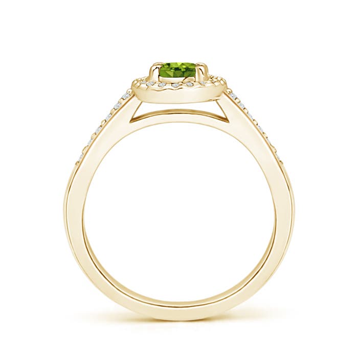 AAAA - Peridot / 0.69 CT / 14 KT Yellow Gold