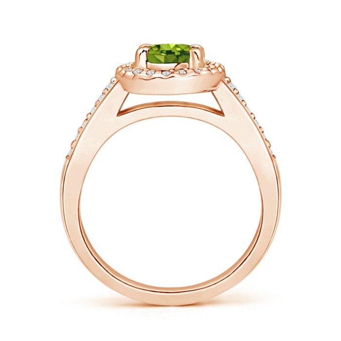 7x5mm AAAA Classic Oval Peridot Halo Ring with Diamond Accents in Rose Gold product image