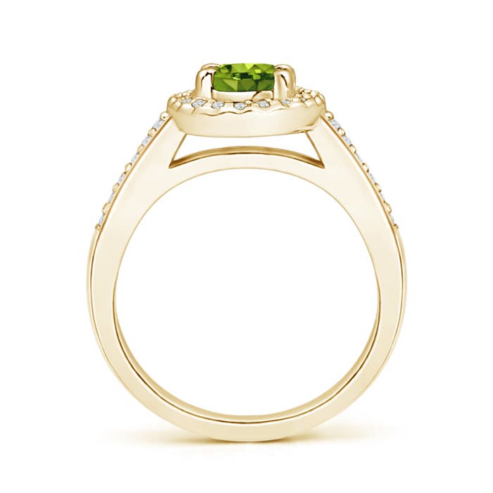 AAAA - Peridot / 1.11 CT / 14 KT Yellow Gold