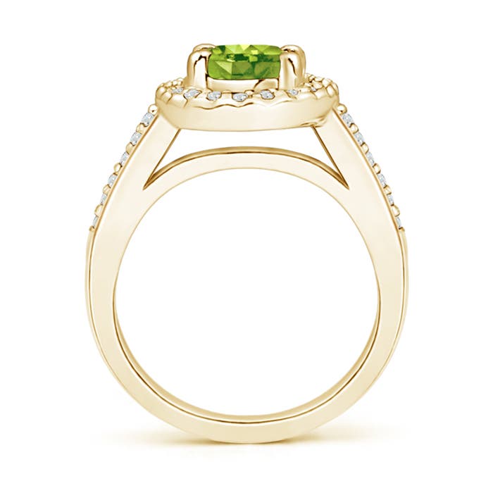 AAA - Peridot / 1.67 CT / 14 KT Yellow Gold