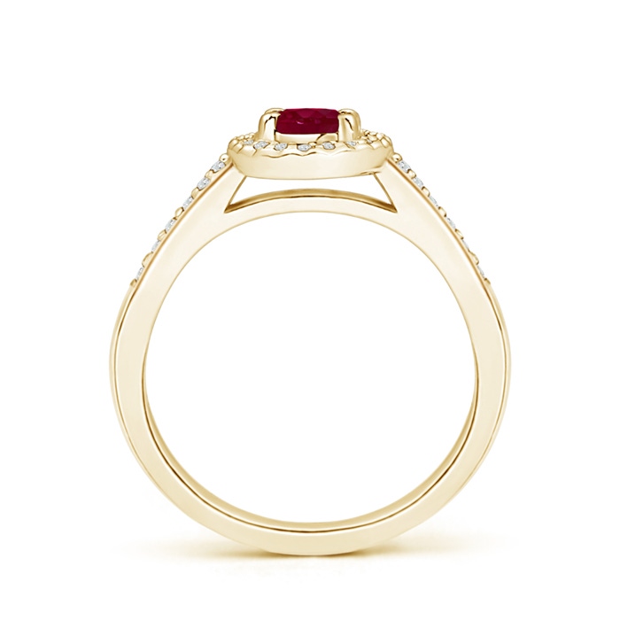 6x4mm A Classic Oval Ruby Halo Ring with Diamond Accents in Yellow Gold side-1
