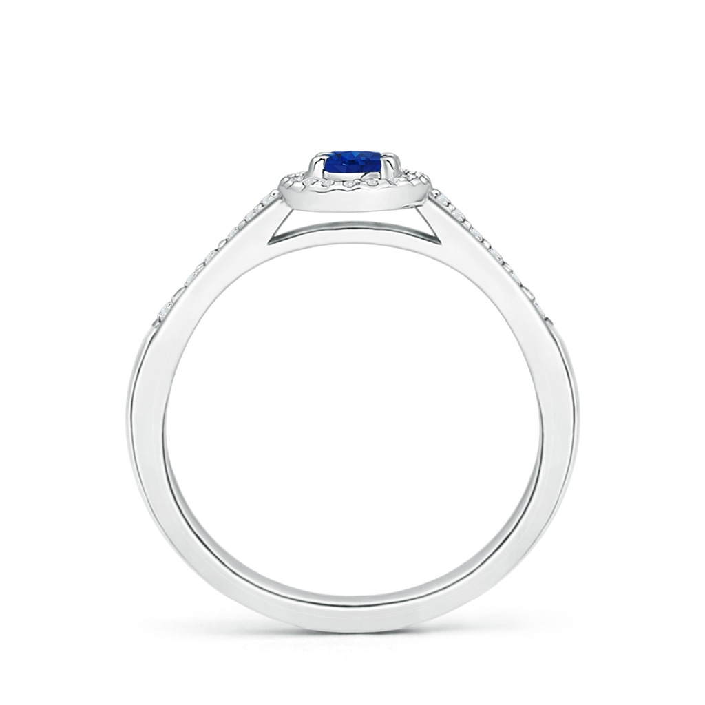 5x3mm AAA Classic Oval Blue Sapphire Halo Ring with Diamond Accents in White Gold Side-1